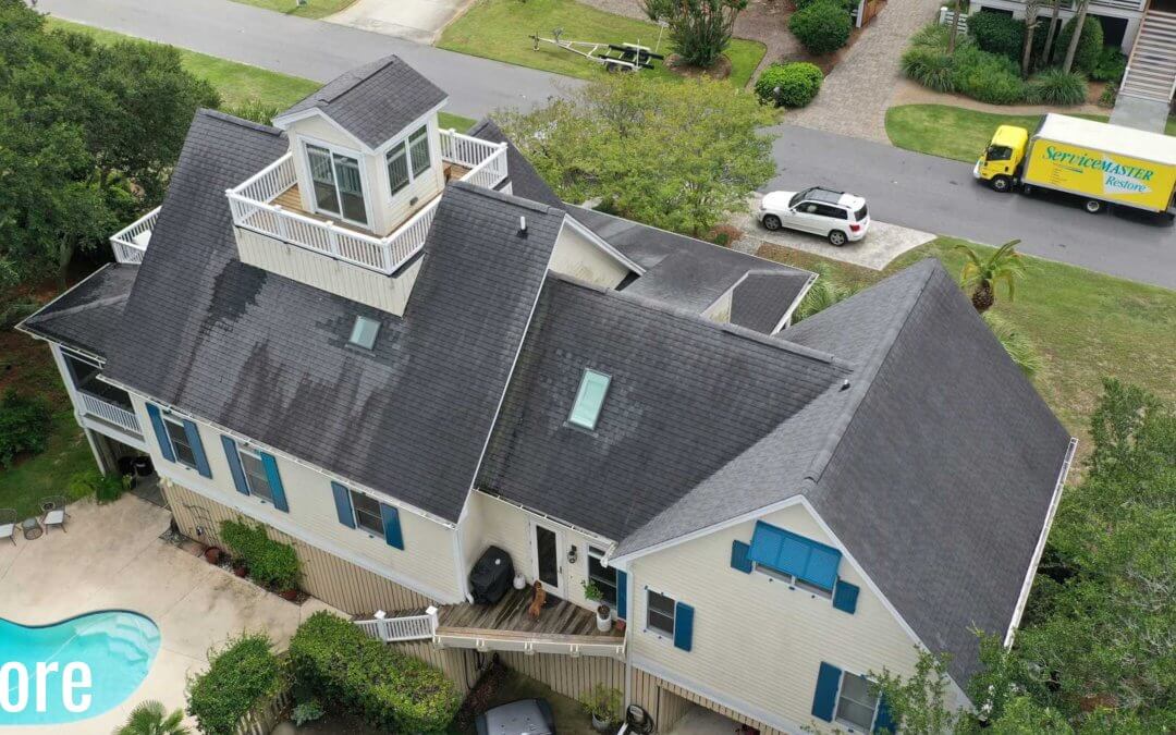 Shingle Roof Replacement: Everything Homeowners Need to Know